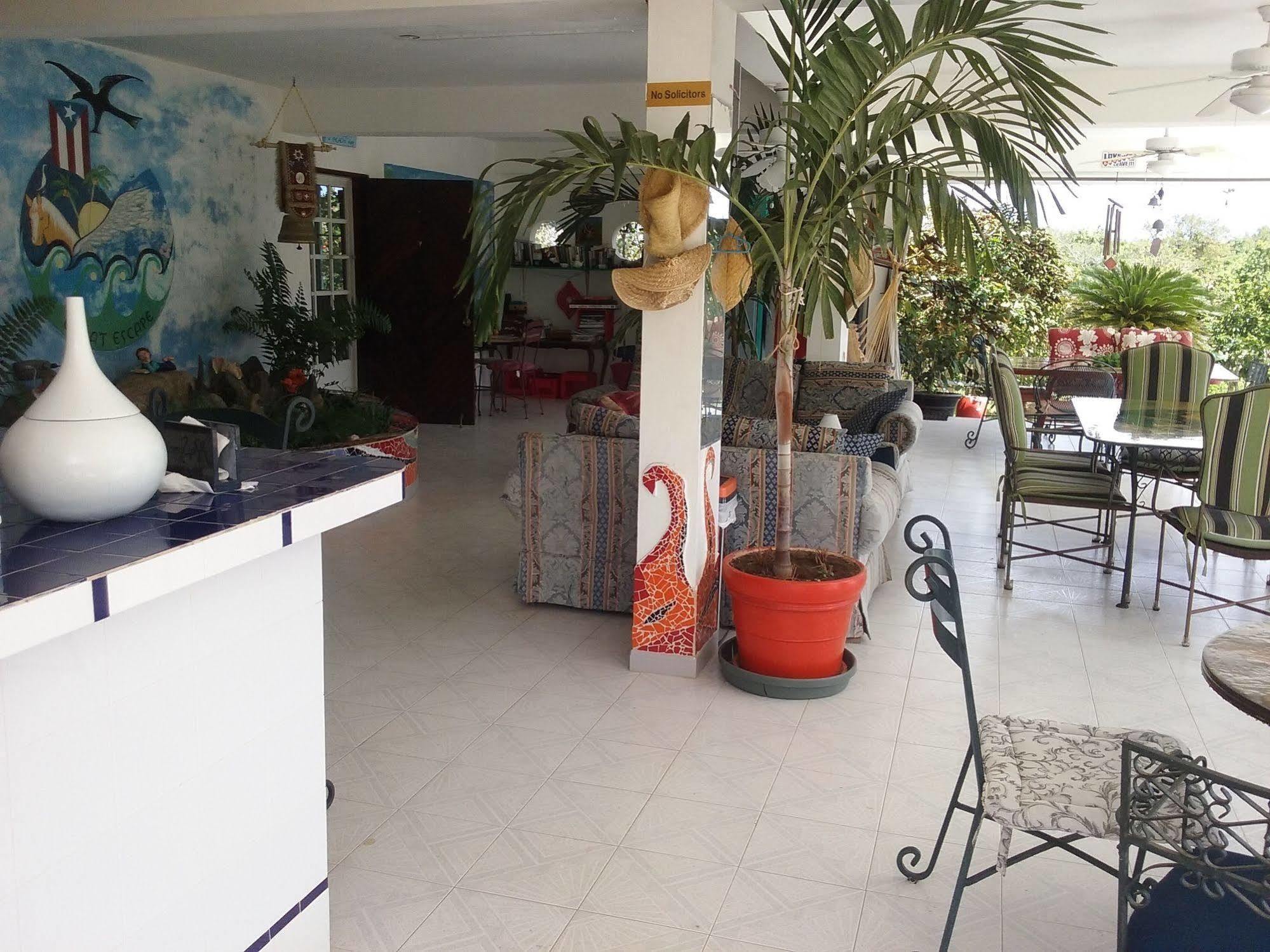 Great Escape Hotel Vieques Luaran gambar